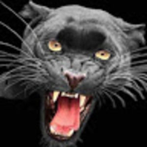 Meet your Posher, Brad